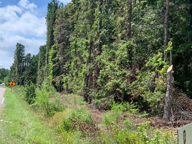 400 Airport Dr, Moncks Corner, SC 29461 - photo 2