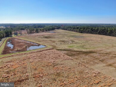 2051 Liners Rd, Church Creek, MD 21622 - photo 6