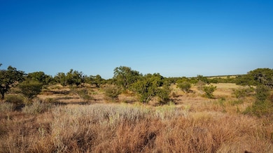 6748 S Hwy 87, Mason, TX 76856 - photo 5