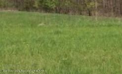 2611 Navigator, Lansing, MI 48911 - photo 7