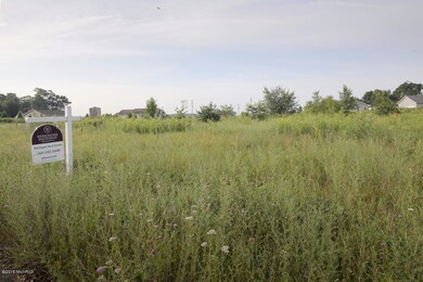 5609 Pleasant Meadow Trail, Schoolcraft, MI 49087 - photo 2