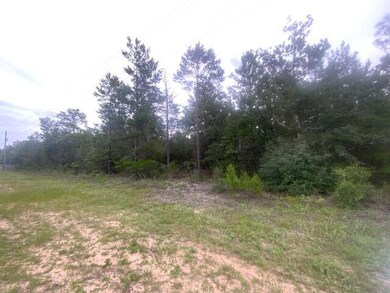 0 Mt Olive Rd unit Lot 2 876635, Crestview, FL 32539 - photo 2