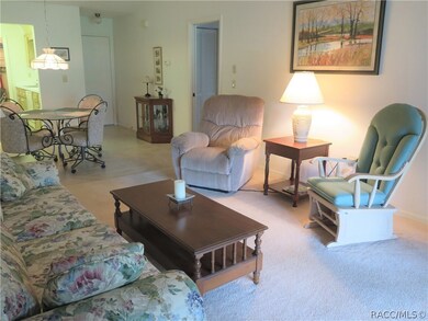 771 E Hartford St unit 4A, Hernando, FL 34442 - photo 5