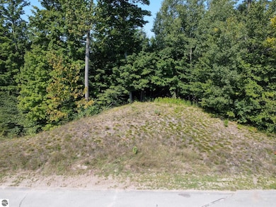 1955 N Blue Water Ct unit 2, Suttons Bay, MI 49682 - photo 4