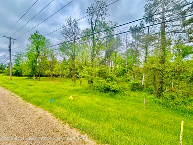 0 Lot C Willow, Lansing, MI 48917 - photo 4