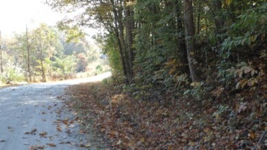 0 Moss Arcot Rd, Celina, TN 38551 - photo 4