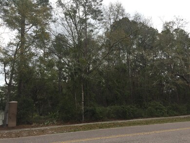 0 Duval Rd unit 868300, Jacksonville, FL 32218 - photo 3