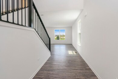 14115 Magnolia St, Cedar Lake, IN 46303 - photo 4