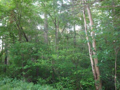 219 Rocky Meadow St, Middleboro, MA 02346 - photo 7