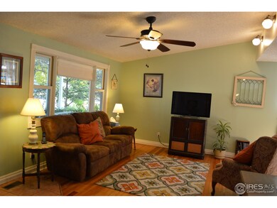 sunny living room