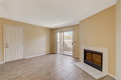 Living Room / Entrance Door