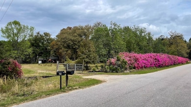 0 Norris Dr, Walterboro, SC 29475 - photo 3