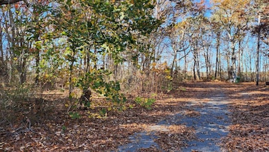 17 Angus Ave, South Yarmouth, MA 02664 - photo 4