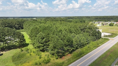 0 Highway 521 unit Lot A, Greeleyville, SC 29056 - photo 5