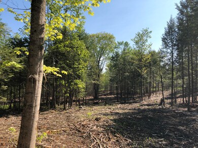 Map12/L19 Augusta Rd, Bowdoin, ME 04287 - photo 7