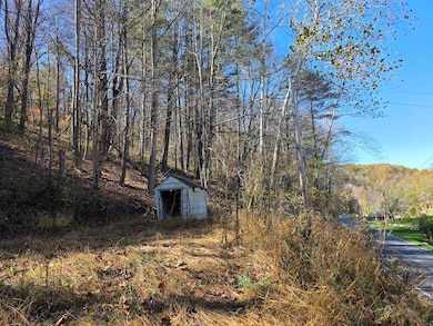 TBD Pilot Rd, Riner, VA 24149 - photo 6