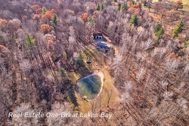 7454 N Jefferson Rd, Rhodes, MI 48652 - photo 2