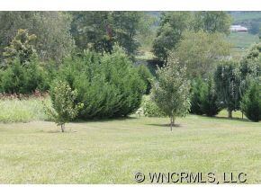 0000 New Morning Place, Leicester, NC 28748 - photo 4