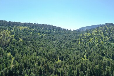 6 Tract Garnet Range, Clinton, MT 59825 - photo 7