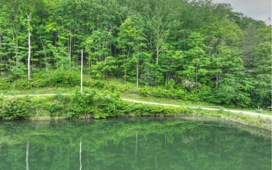 Additional View