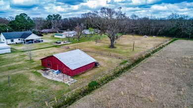 Back Yard 1