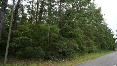 450 Boggy Rd, Conway, SC 29526 - photo 5