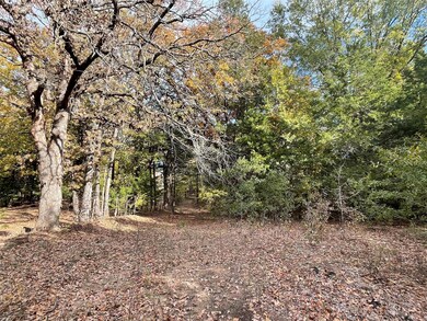 Trail to the bridge across the creek