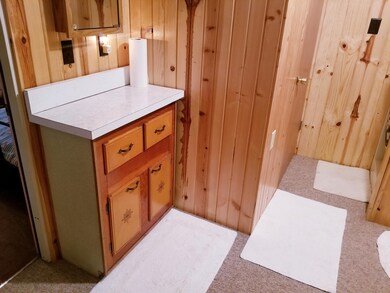 9643 S Beechnut Ave, Baldwin, MI 49304 - photo 7