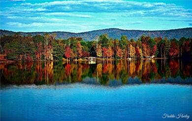 401 the Bear Blvd, Tamassee, SC 29686 - photo 6