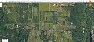 Google Satellite