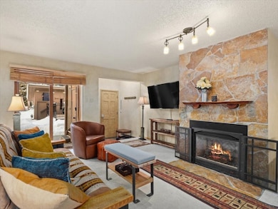 108 Guller Rd unit B4, Frisco, CO 80443 - photo 3