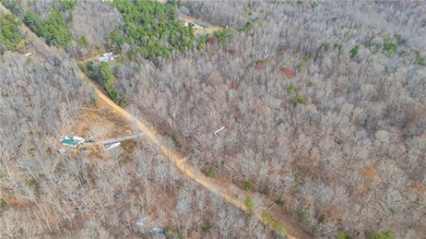 6124 Wild Horse Canyon Rd, Snow Camp, NC 27349 - photo 7