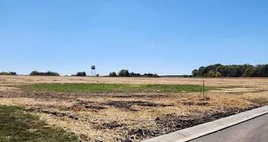 406 3rd St SE, Hayfield, MN 55940 - photo 3