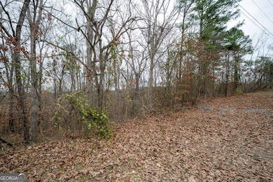 0 Marlene Dr NE unit 10656253, Rome, GA 30165 - photo 5