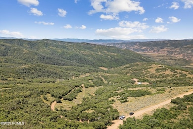 10976 Skyline Rd unit 202, Echo, UT 84024 - photo 4