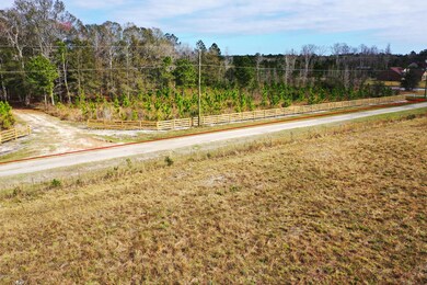 0 Countree Life Way unit 1034074, Callahan, FL 32011 - photo 7