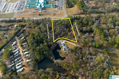 101 Caldwell Mill Rd, Birmingham, AL 35244 - photo 2