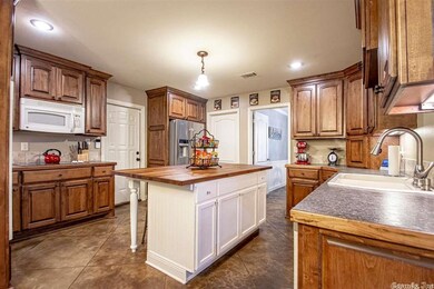 29 S Coran Dr, Conway, AR 72032 - photo 7