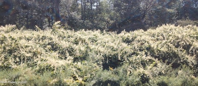 0 Enterprise St, Nanticoke, PA 18634 - photo 3