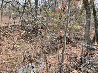 4028 Fall Creek Dr, Brock, TX 76087 - photo 6