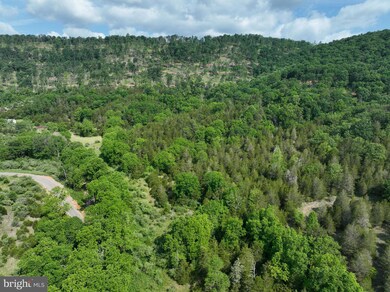 686.10 ACRES Thorn Bottom Rd, Wardensville, WV 26851 - photo 7