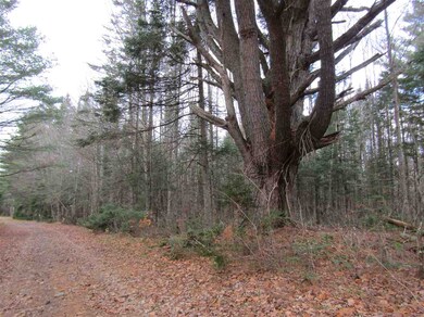 31-1 Moose Trail, Clarksville, NH 03592 - photo 6