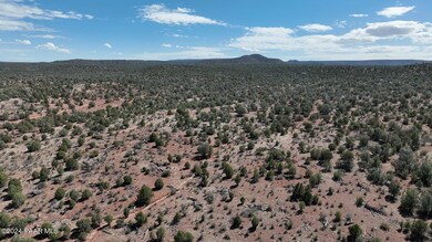 42374 Conwaden Rd, Ash Fork, AZ 86320 - photo 3