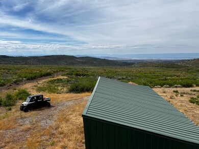 000 Currant Creek Rd, Cedaredge, CO 81413 - photo 6