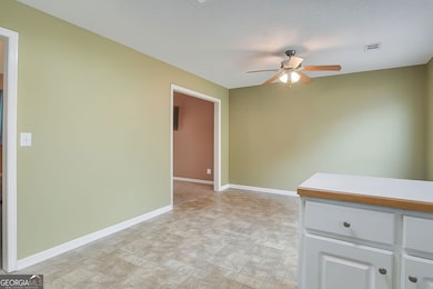 303 Carly Ct, Bethlehem, GA 30620 - photo 5