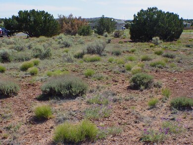 View to West from Lot