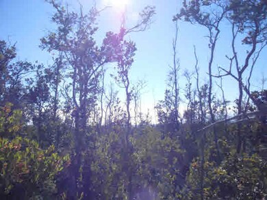 0 Paradise Pkwy unit 251488, Ocean View, HI 96737 - photo 7