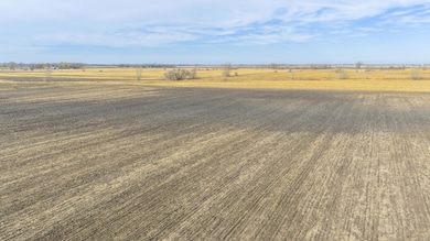 1-117-48W Lowe Twp Deuel County, Revillo, SD 57259 - photo 4