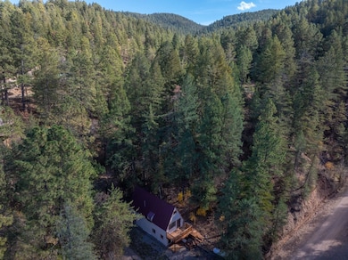 33 Apache Canyon Rd, High Rolls, NM 88325 - photo 4