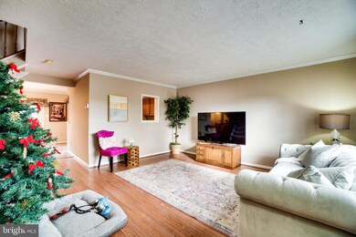 12549 Coral Grove Place, Germantown, MD 20874 - photo 5